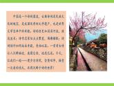 【任务型教学】统编语文八下第三单元综合性学习《古诗苑漫步》（课件+教案）