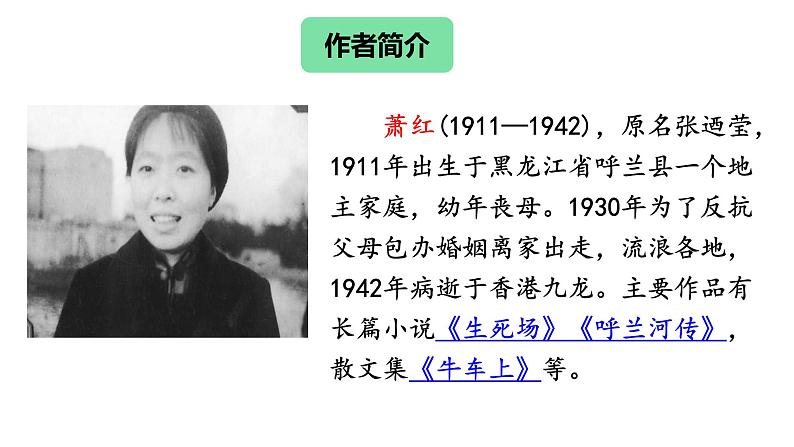 八年级语文下册《回忆鲁迅先生（节选） 》课件第5页