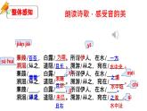 部编版八年级语文下册第三单元《蒹葭 》课件