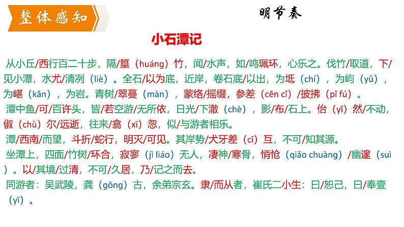 部编版八年级语文下册第三单元《小石潭记》课件第7页