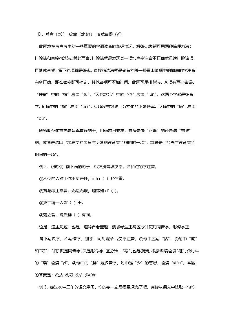 中考语文专项复习之语音和汉字考点解析及训练第2页