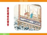 統(tǒng)編版（2024）語文七年級下冊  第4單元 專題學(xué)習(xí)活動  孝親敬老，傳承家風(fēng)（課件）