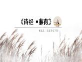 部编版八年级语文下册第三单元《蒹葭》课件