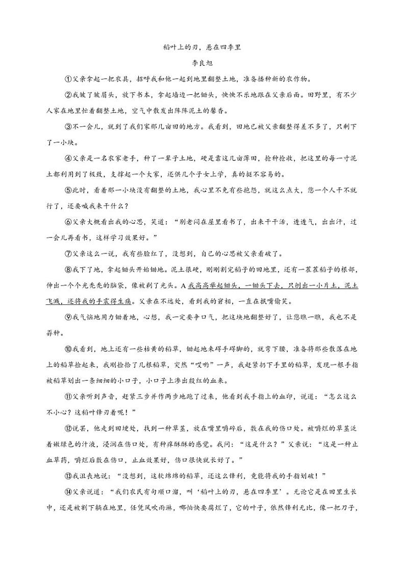 2024～2025学年河南省南阳市内乡县第一教育集团七年级上1月期末联考(月考)语文试卷(含答案)第3页