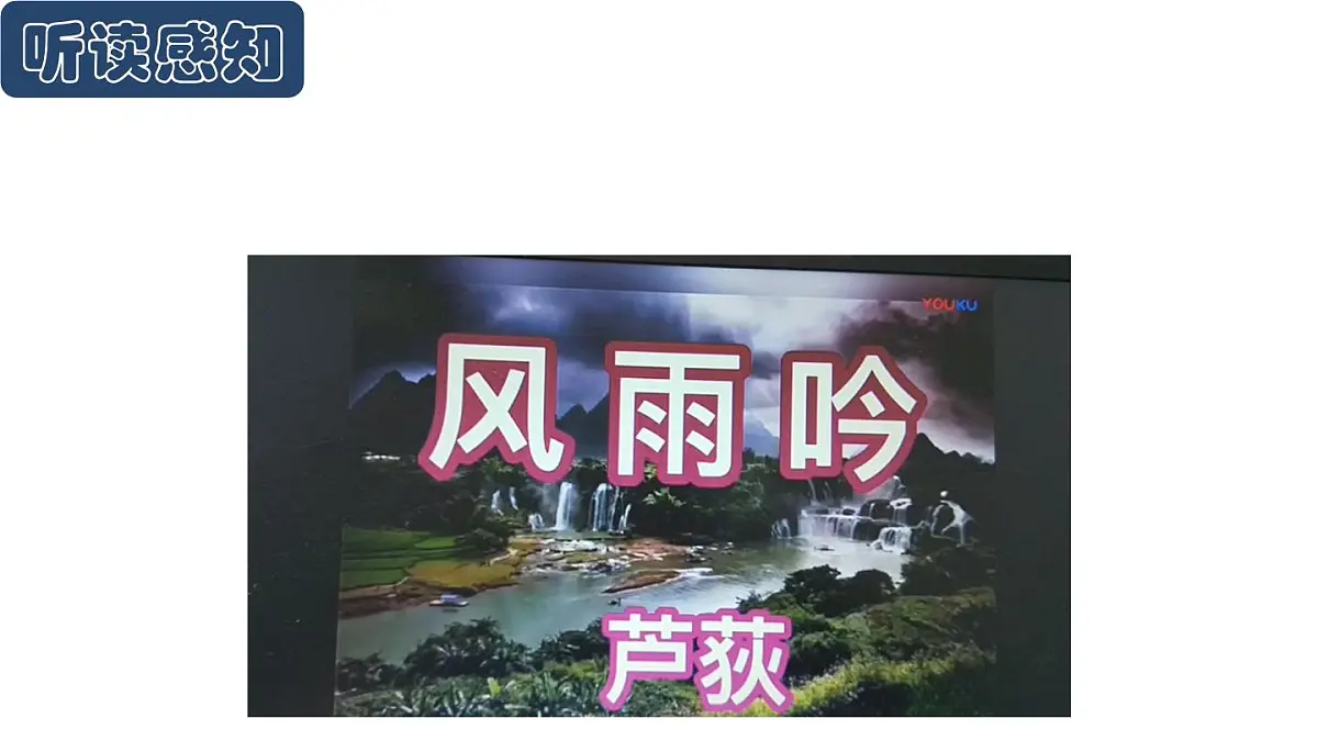 部编版九年级语文下册第一单元《风雨吟 》课件第6页