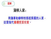 部编版九年级语文下册第二单元《蒲柳人家（节选) 》课件