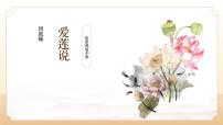 初中人教部编版（2024）爱莲说图文课件ppt