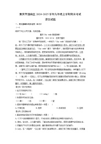 重庆市潼南区2024-2025学年九年级(上)期末考试语文试卷（解析版）