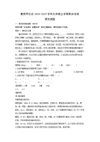 重庆市忠县2024-2025学年九年级(上)期末考试语文试卷（解析版）