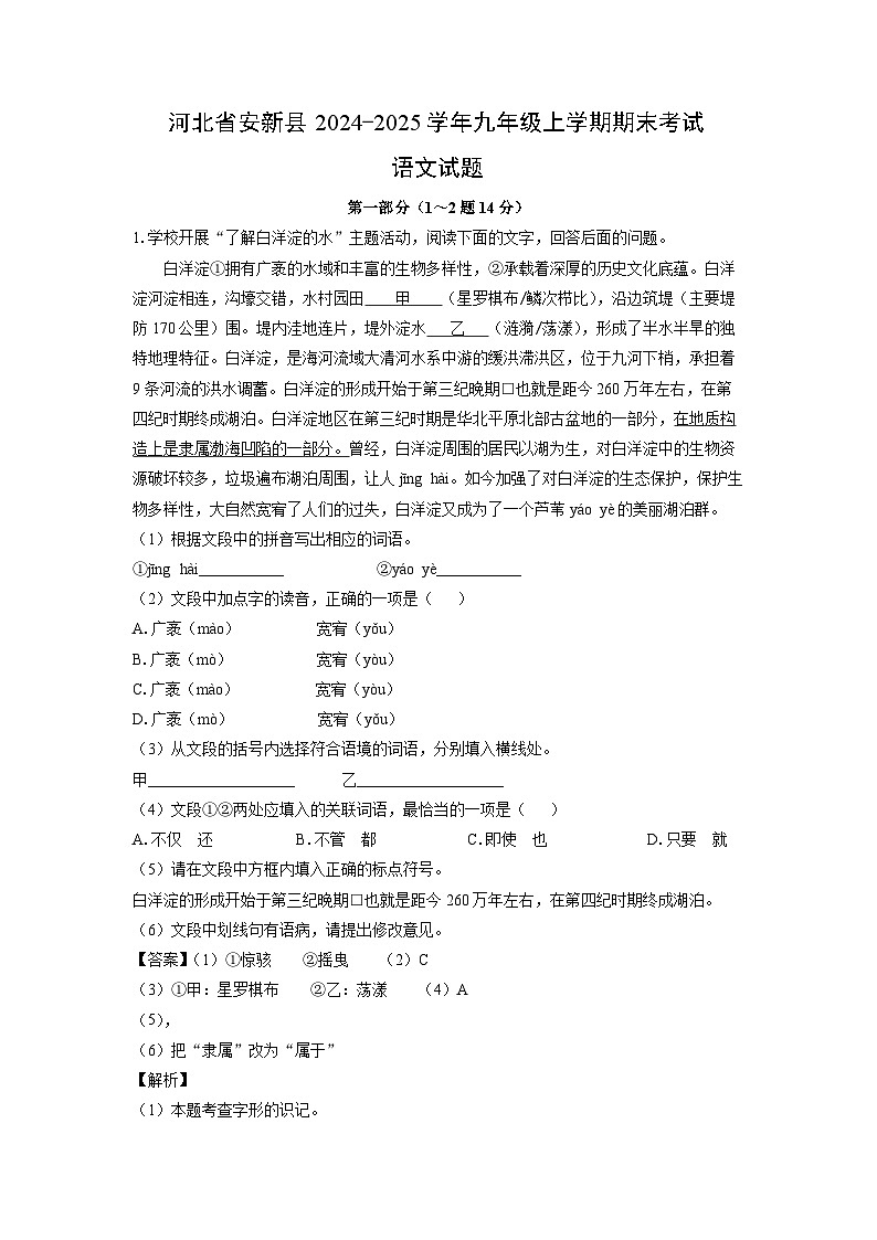 河北省安新县2024-2025学年九年级(上)期末考试语文试卷（解析版）第1页