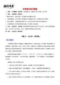 专题29《红岩》（讲练）-2025年中考语文一轮复习精讲精练（全国通用）