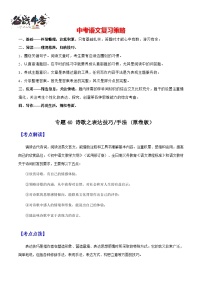 专题40 诗歌之表达技巧、手法（讲练）-2025年中考语文一轮复习精讲精练（全国通用）