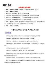 专题54 文学类文本之词语、句子含义（讲练）-2025年中考语文一轮复习精讲精练（全国通用）