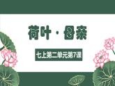 人教版七年级语文上册 第二单元第七课《荷叶·母亲》课件
