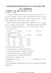 2024～2025学年云南省昆明市盘龙区龙泉育才学校九年级下语文入学测试试卷(含解析)