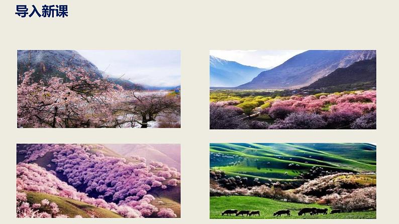 人教部编版八年级语文下册第二单元第8课《桃花源记》同步课件第3页