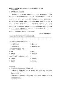 新疆维吾尔自治区喀什地区2024-2025学年九年级上学期期末语文试题