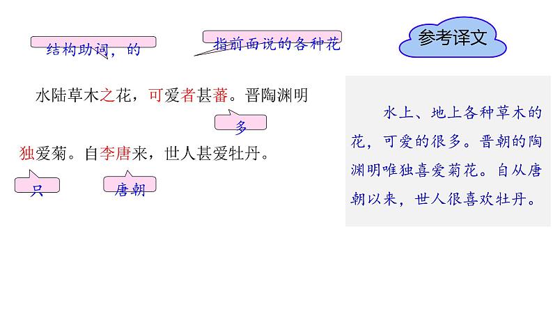 统编版语文七年级下册第18课《爱莲说》课件第8页