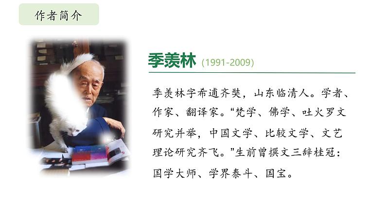 部编版七年级语文下册第16课《有为有不为》课件第4页