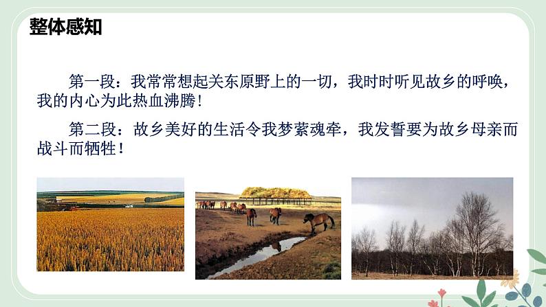 第二单元 8 土地的誓言 - 初中语文七年级下册 同步教学课件（人教部编版2024）第7页