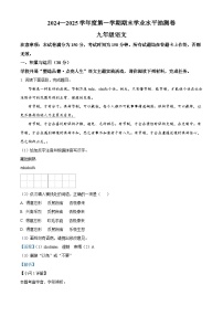 甘肃省陇南市2024-2025学年九年级上学期期末语文试题