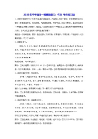 2025年中考语文一模刷题复习：作文 考点练习题（含答案、范文）
