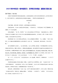 2025年中考语文一模考前复习：文学类文本阅读 刷题练习题汇编（含答案解析）