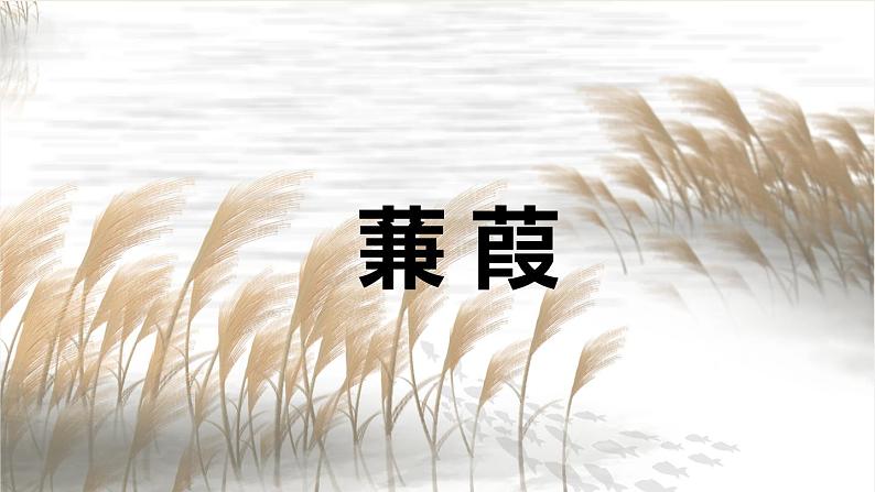 八下语文第三单元第12课《诗经二首〉之《蒹葭》同步课件第2页