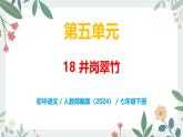 第五單元 18  井岡翠竹 - 初中語文七年級下冊 同步教學(xué)課件+教案（人教部編版2024）