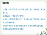 第五單元 18  井岡翠竹 - 初中語文七年級下冊 同步教學(xué)課件+教案（人教部編版2024）