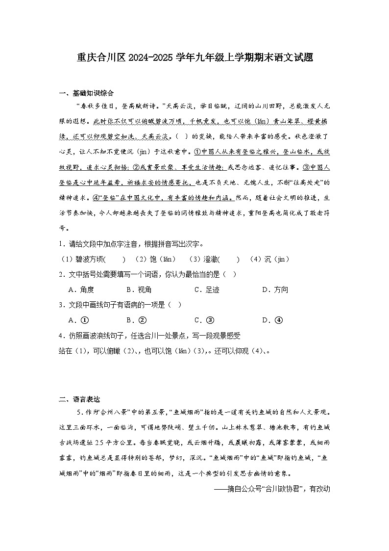 重庆合川区2024-2025学年九年级上学期期末语文试题第1页