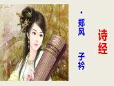 部編版八下語(yǔ)文第三單元課外古詩(shī)之《子矜》同步課件