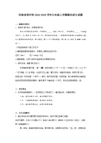 河南省郑州市2024-2025学年九年级上学期期末语文试题