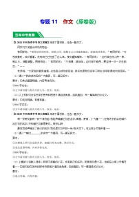 专题11 作文- 5年（2020-2024）中考1年模拟语文真题分类汇编（河南专用）
