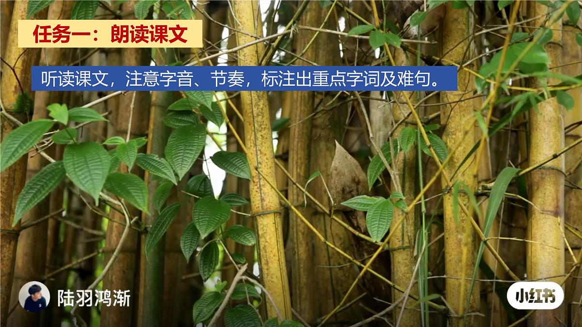 第10课《小石潭记》课件2024-2025学年统编版语文八年级下册第5页