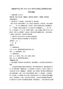 河南省平顶山市2024-2025学年九年级上学期期末考试语文试卷（解析版）