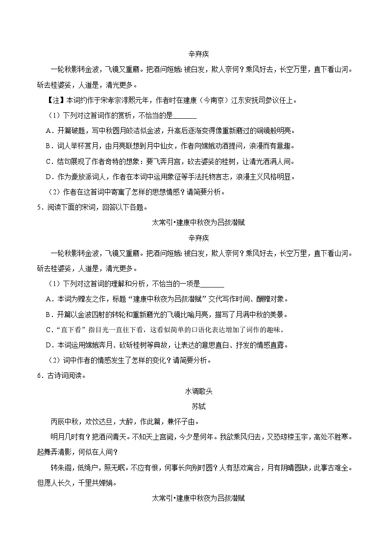 2025年中考语文备考之重点古诗文梳理：《太常引•建康中秋夜为吕叔潜赋》（试题＋解析）第3页