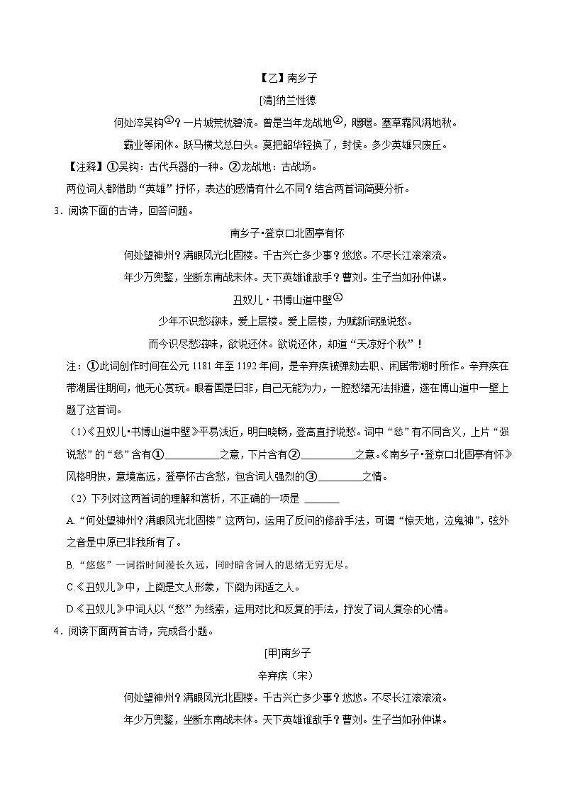 2025年中考语文备考之重点古诗文梳理：《南乡子•登京口北固亭有怀》（试题＋解析）第3页