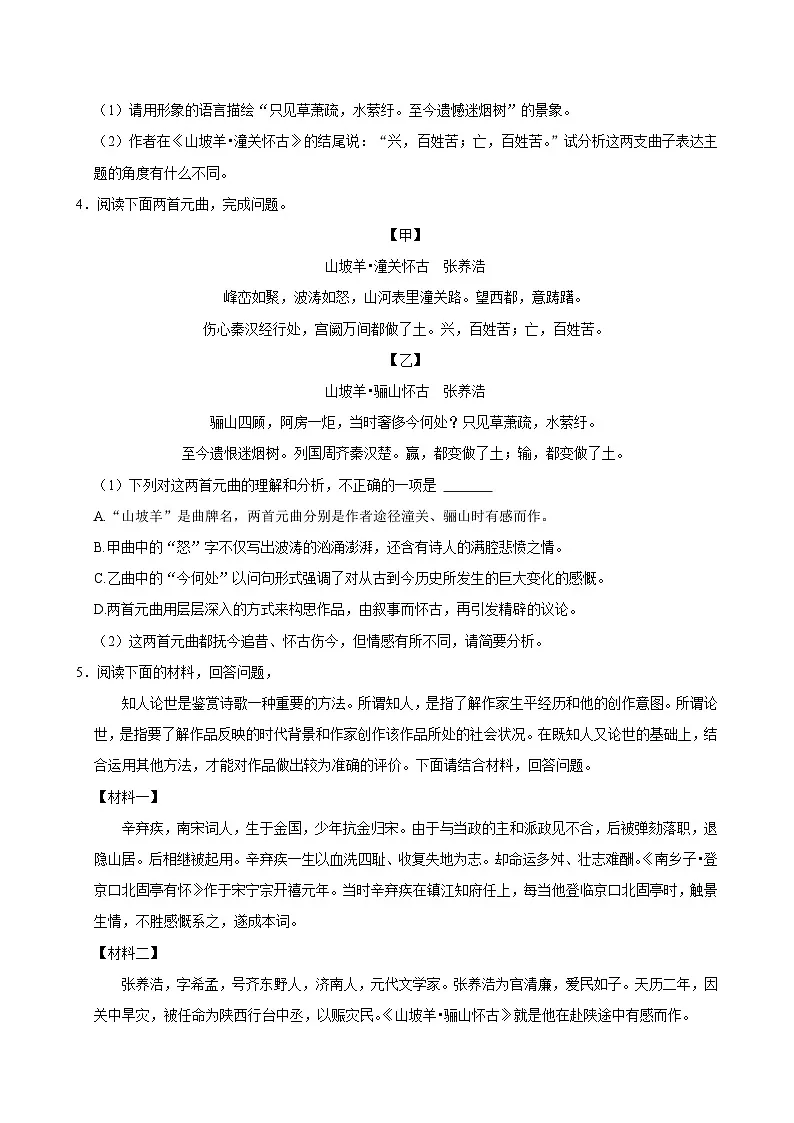 2025年中考语文备考之重点古诗文梳理：《山坡羊•骊山怀古》（试题＋解析）第3页