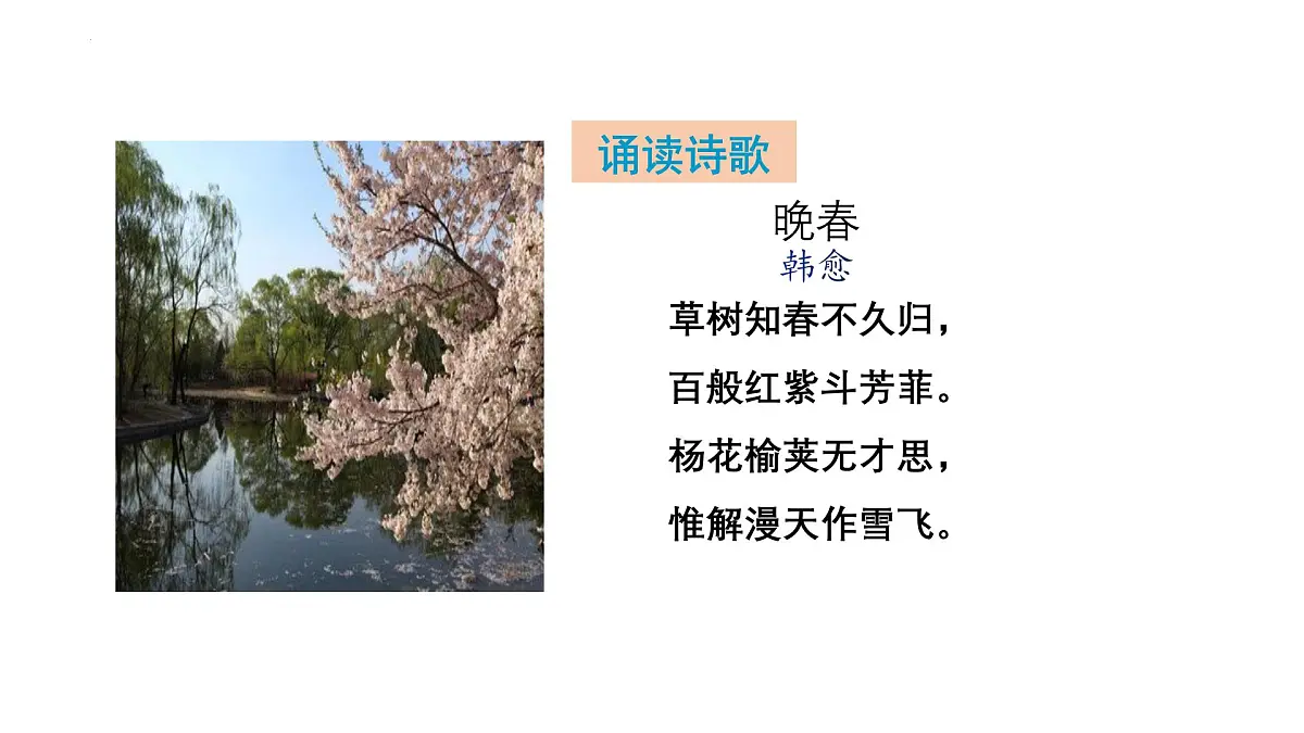 部编版 2024-1025年第二学期 语文 七年级下册 第三单元 课外古诗词诵读《晚春》课件第6页