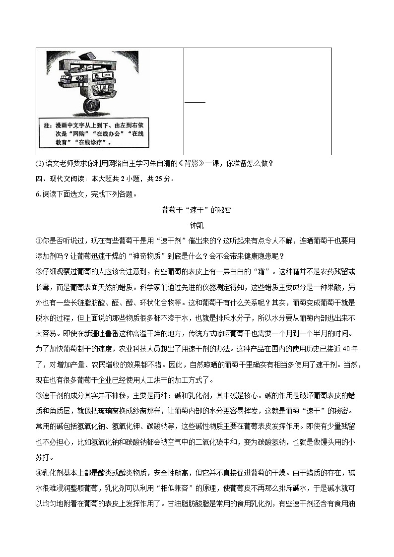 河北省秦皇岛市多校2024-2025学年八年级（上）期末语文试卷（解析版）第3页