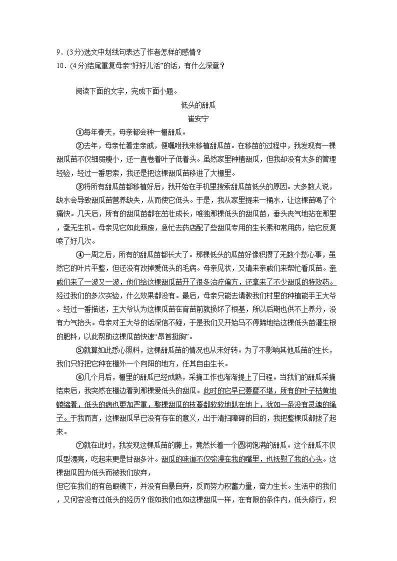 四川省合江县2024-2025学年七年级上册1月期末语文学情检测试题（附答案）第3页