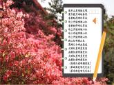 【核心素養(yǎng)優(yōu)質(zhì)課】部編版語文七年級下冊第6課 老山界 第1課時（課件+同步教學(xué)設(shè)計+素材）