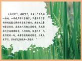 【核心素養(yǎng)優(yōu)質(zhì)課】部編版語文七年級下冊第二單元 寫作 學(xué)習(xí)抒情（課件+同步教學(xué)設(shè)計(jì)）