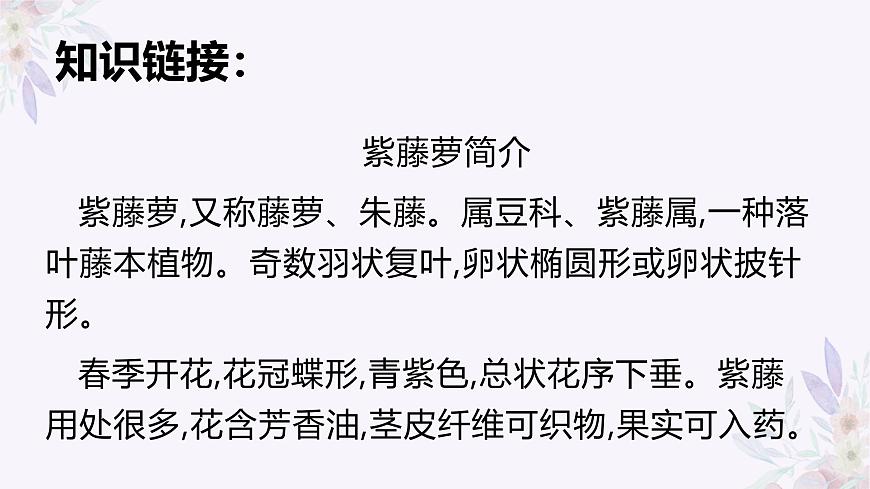 部编版（2024）2024-2025年第二学期 语文 七年级下册 19.紫藤萝瀑布 课件第5页