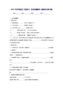 2025年中考语文二轮复习：名句名篇默写 高频考点练习题（含答案解析）