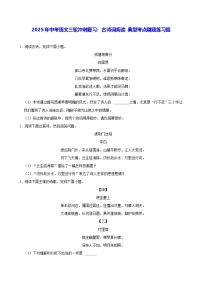 2025年中考语文三轮冲刺复习：古诗词阅读 典型考点刷题练习题（含答案解析）