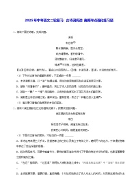 2025年中考语文二轮复习：古诗词阅读 高频考点强化练习题（含答案解析）