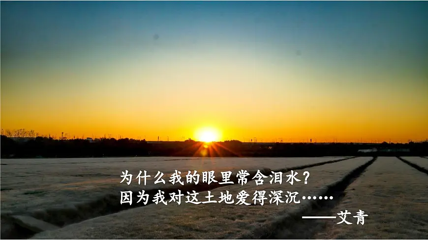 初中语文新人教部编版七年级下册第二单元8 土地的誓言教学课件2025春第2页