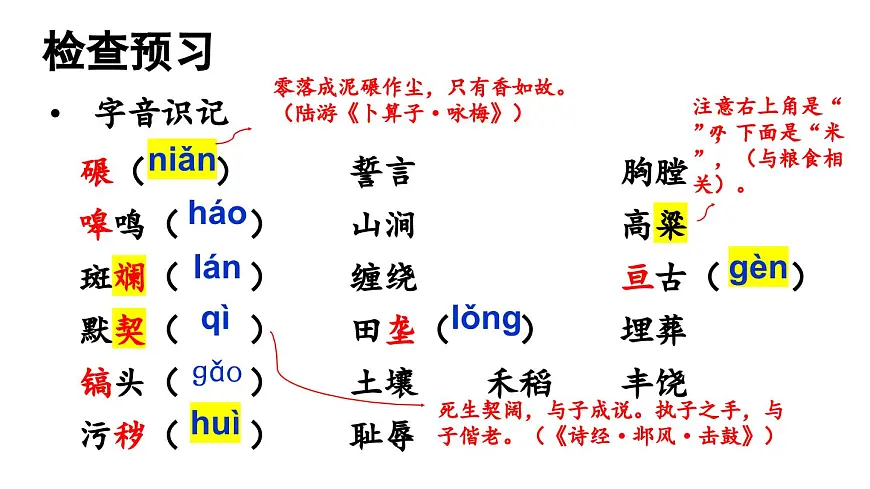初中语文新人教部编版七年级下册第二单元8 土地的誓言教学课件2025春第4页